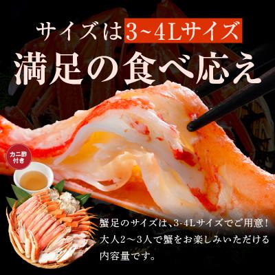 ふるさと納税 泉佐野市 海鮮食べ比べセット ズワイガニ足 1kg前後 &いくら醤油漬け80g×2P 099H3450 |  | 02