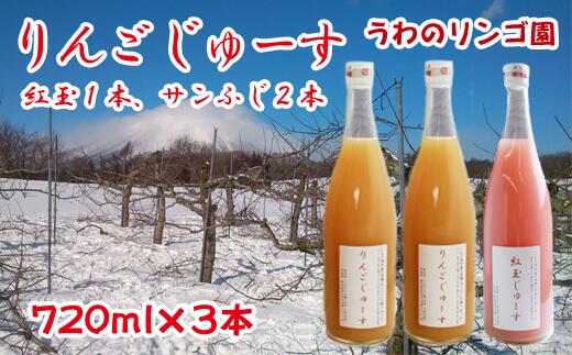 【ふるさと納税】りんごじゅーす (紅玉1本・サンふじ2本) 720ml×3本 セット りんごジュース りんご 林檎 リンゴ ジュース 紅玉 フルーツ フルーツジュース アップル アップルジュース 果物 くだもの 瓶 ビン 贈答用 贈答 ギフト 岩手県 滝沢市 送料無料 うわのリンゴ園