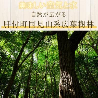 ふるさと納税 肝付町 日本ミツバチ蜂蜜　A51001 |  | 01