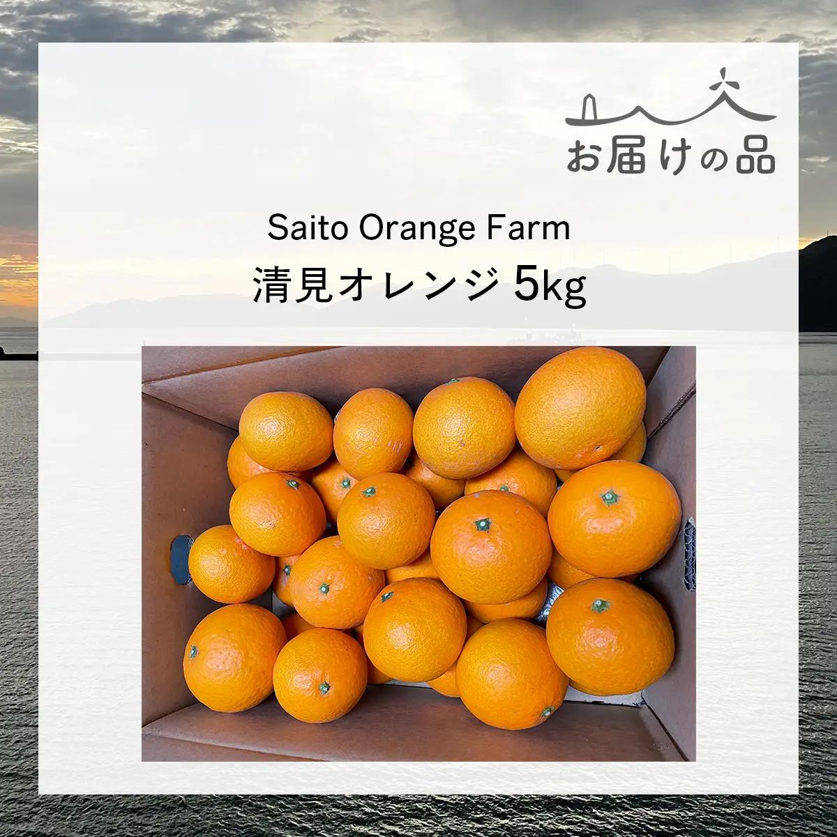 【先行予約】Saito Orange Farmの清見オレンジ5kg（2027年3月中旬頃より順次発送予定） IKTAQ007