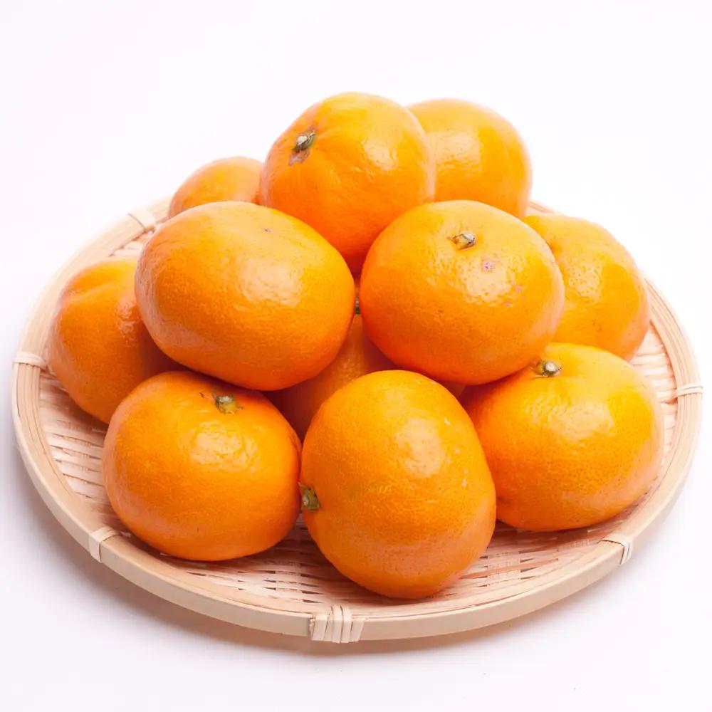 ＜11月より順次発送＞プレミアム 有田みかん（完熟）2.5kg+250g（傷み補償分）【光センサー選果】【ikd005E】