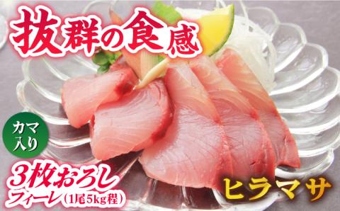 【コリコリ食感がたまらない！】新上五島町産 養殖 ヒラマサ （ヒラス） フィーレ 3枚おろし （カマ入り） 魚介類 鮮魚 【カミティバリュー】 [RBP006]