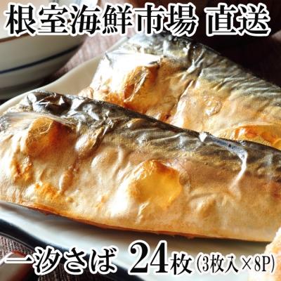 ふるさと納税 根室市 根室海鮮市場＜直送＞一汐さば半身24枚 A-28096