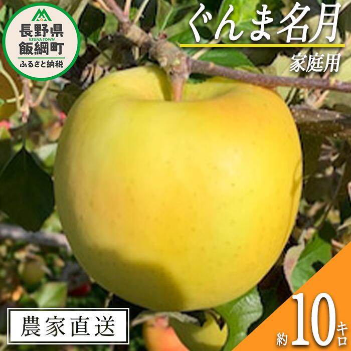 【ふるさと納税】 りんご ぐんま名月 家庭用 10kg ファームトヤ 令和7年度収穫分 長野県 飯綱町 〔 信州 果物 フルーツ リンゴ 林檎 名月 長野 予約 農家直送 〕発送時期：2025年11月中旬〜2025年12月下旬 {**}