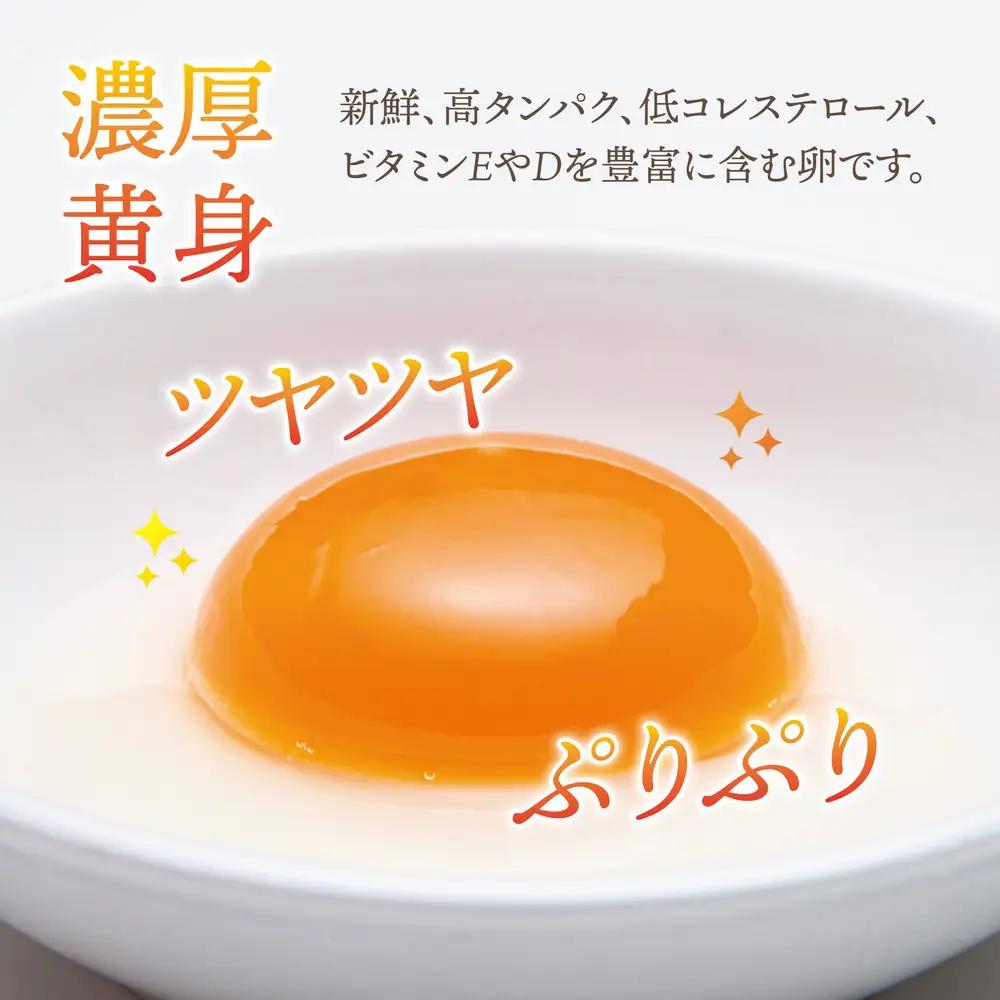 厳選された飼料と鈴鹿山麓の銘水で育った、美味しい卵「きららの里」を新鮮な状態でお届けします。50個（45個＋卵割れ保障5個）|たまご 卵 きららのさと きららの里 50個 おいしい 濃厚 玉子 玉子焼