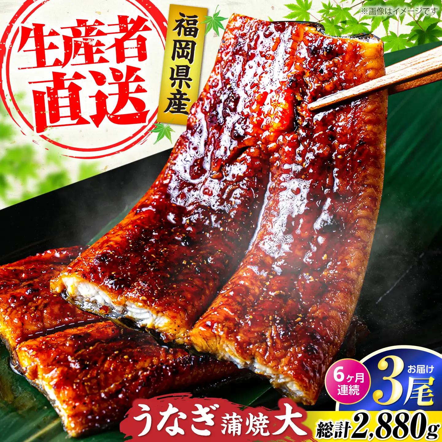 【全6回定期便】福岡県産 うなぎ 蒲焼 大3尾 VAD015 うなぎ