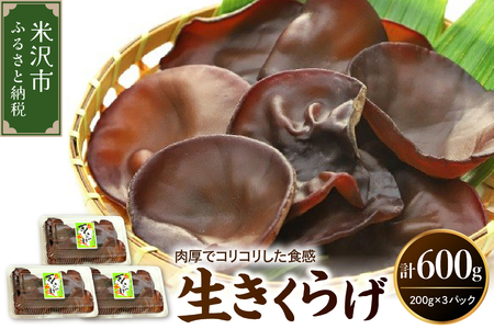 《先行予約》【 期間限定 】 生きくらげ 計 600g （ 200g × 3パック ）〔 2026年 6月 ～ 10月 中旬頃お届け 〕 米沢産 きくらげ きのこ 冷蔵