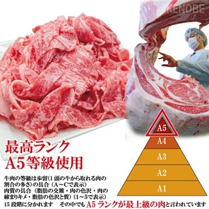 常陸牛A5等級切落し 計1kg[500g×2パック] 国産 5等級 A5ランク 茨城県 牛肉 霜降り 冷凍 牛丼 すき焼き カレー 小分け おかず 【そうざい男しゃく（株式会社池延）】【ho1561】