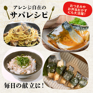 サバ フィレ 国産 塩鯖 15枚約1.8kg 鯖 沼津 さば サバ