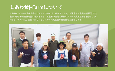【レビューキャンペーン】しあわせj-Farm しあわせ黒にんにく 100g×2パック　【 加工食品 野菜 熟成 発酵 高糖度 ドライフルーツ マイルド お年寄り 子供 抗酸化作用 ポリフェノール  健