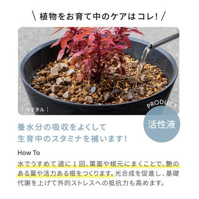 ふるさと納税 太田市 植物用 活性液 バイオゴールド バイタル 2L×1本 |  | 02