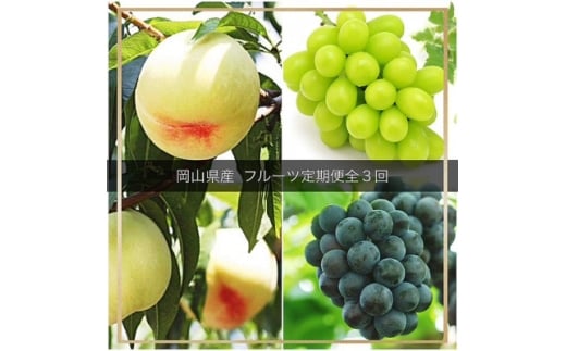 ＜発送月固定定期便＞岡山県産  フルーツ定期便全3回【4079588】