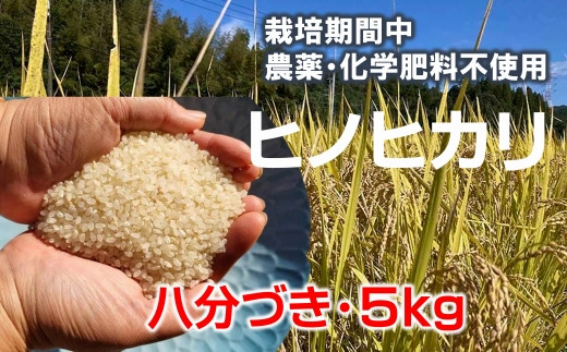 
            【栽培期間中農薬化学肥料不使用】きれいな山水で育てたヒノヒカリ 八分づき（5kg）≪令和7年度 新米 臼杵市産≫
          