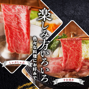【牛肉】 筑後 船小屋牛 肩ローススライス【500g】_国産牛 肩ロース スライス 500g 1パック 化粧箱入り 牛肩ロース ジューシー 赤身 脂 バランス 上質 柔らかい 肉汁 冷凍 ロース 牛肉