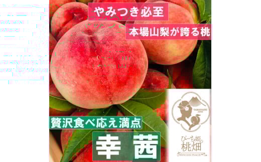【食べ応え満点の幸茜ブランド】大玉ごろごろサイズ人気No.1の品種 約1kg【2025年発送】（PMK）B17-103 【桃 もも モモ 令和7年発送 期間限定 山梨県産 甲州市 フルーツ 果物】