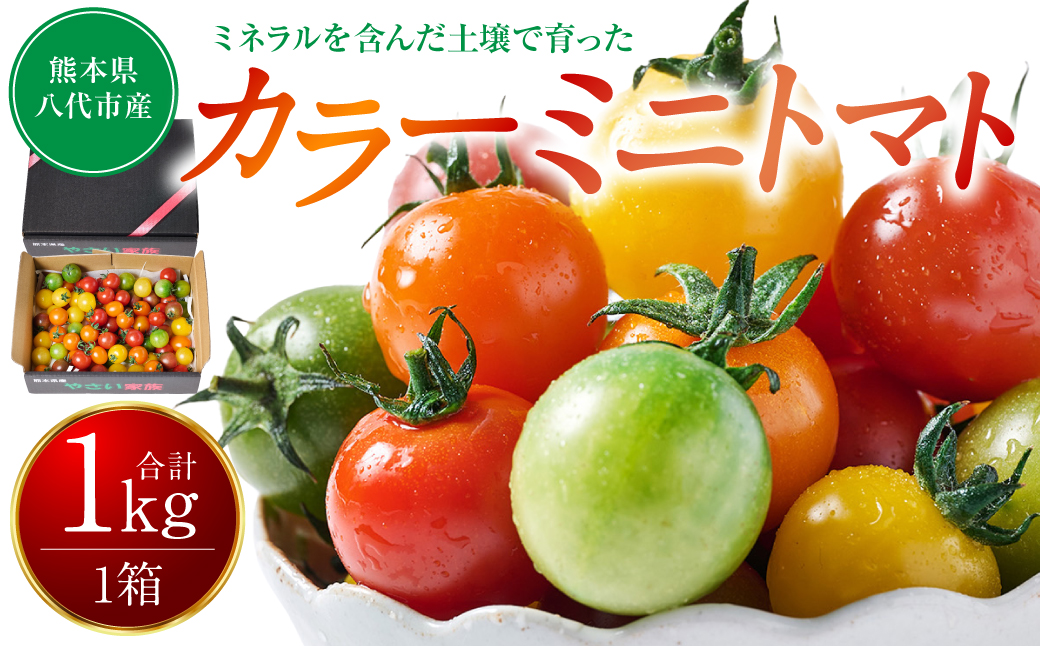 【先行予約】 カラーミニトマト1kg トマト とまと ミニトマト プチトマト 野菜 やさい 旬の野菜 新鮮な野菜 地元産野菜 旬のやさい 新鮮なやさい ご当地 【2025年11月中旬より順次発送】