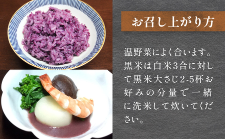 黒米＆黒米甘酒ドレッシング2本 玖珠町産 黒米 玄米 ドレッシング 甘酒 黒米ドレッシング 黒米甘酒 食物繊維 アントシアニン シンプル お砂糖不使用 お醤油不使用 大豆アレルギー対応 小麦アレルギー