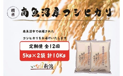 【令和7年産】【定期配送】南魚沼産コシヒカリ 白米 5kg×2袋(10kg) 全12回【2025年10月上旬より順次発送予定】