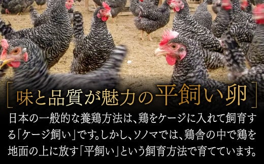 広い鶏舎で鶏にストレスを与えず、よく動き回り運動することで食欲旺盛になり、沢山食べることで健康体そのものです。