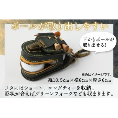 ふるさと納税 大野市 【5色から選べる】ボールが取出しやすい ゴルフボールケース 茶 |  | 01