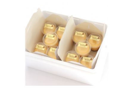 本格コクマロプリン10個入り(B403-2）