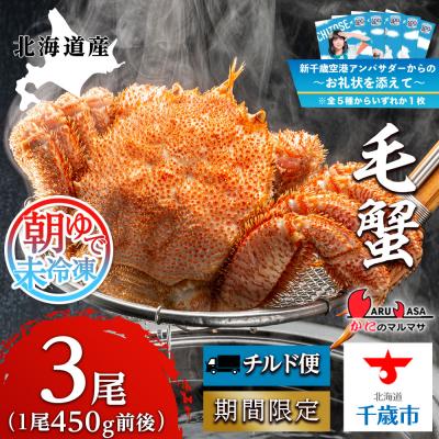 ふるさと納税 千歳市 【千歳市開港100年記念　10月22日入金分まで】〜お礼状を添えて〜朝ゆで毛ガニ(450g前後)3尾