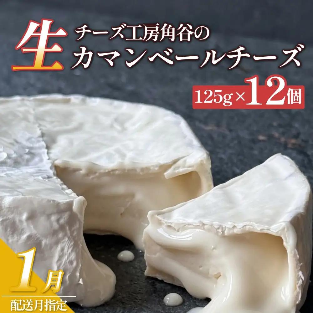 超熟「生」カマンベールチーズ 12個 チーズ工房角谷【1月配送】