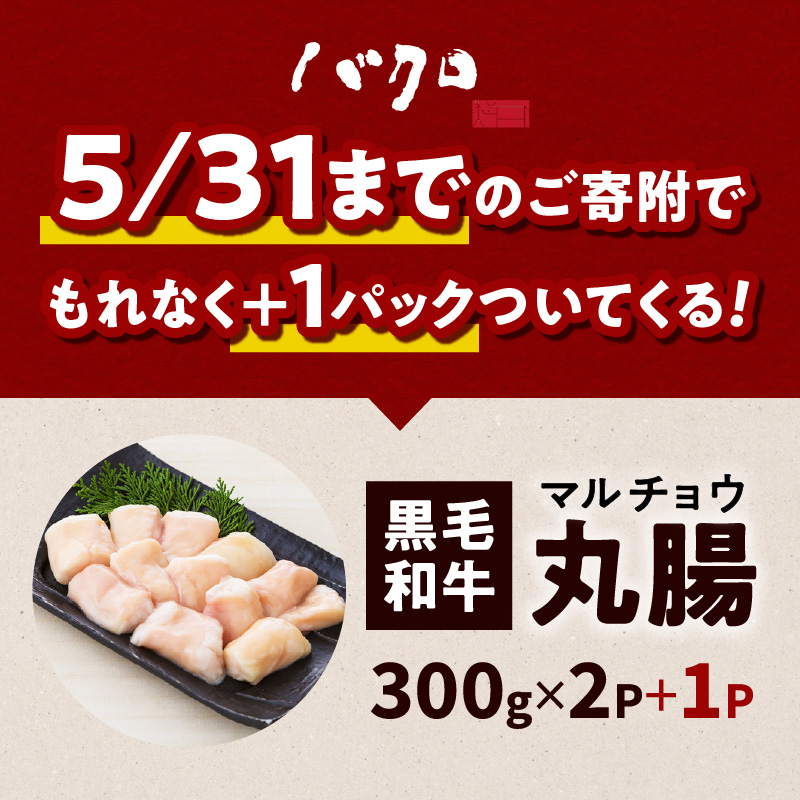黒毛和牛丸腸（ホルモン）300g入り×2パック　K130-001_cp