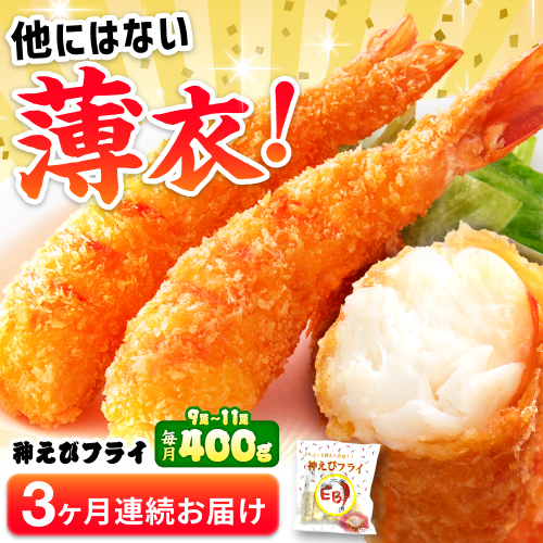 【全3回定期便】水産高校賞受賞！無頭「神えびフライ」9尾～11尾(400g)吉野ヶ里町/EBI研究所 [FDE011]