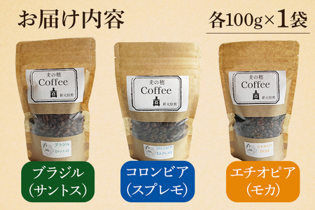 薪火コーヒー3種詰め合わせ 100g×3袋 コーヒー豆 モカ スプレモ サントス ブラジル コロンビア エチオピア 薪火 薪ストーブ 桜 りんごの木 焙煎