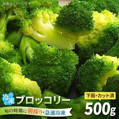 ふるさと納税 糸島市 ブロッコリー500g 冷凍 旬の時期に急速冷凍 糸島産 オーガニックナガミツファーム[AGE043]