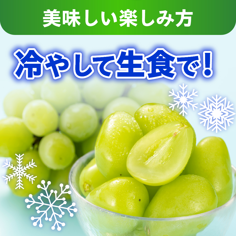 【先行予約】 【数量限定】 令和8年産 大玉 シャインマスカット 1房 700g 2026年9月上旬頃～お届け予定