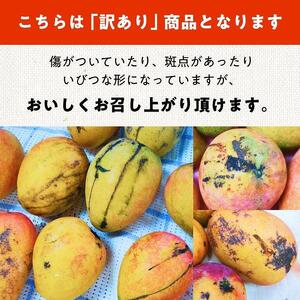 DQ021《先行予約》2026年発送 有機JAS認証マンゴー（アーウィン）わけあり 2.5kg【楽園の果実】