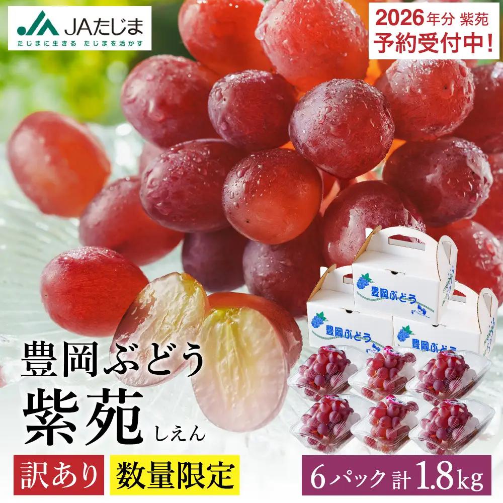 紫苑（しえん）豊岡ぶどう 訳あり 約300g×6パック【2026年先行予約・数量限定】