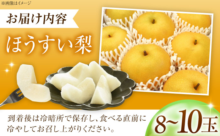 藤渕果樹園の豊水梨（ほうすいなし） 8～10玉入り 〈2026年8月～発送〉 ／ フルーツ 果物 くだもの 食品 人気 おすすめ 送料無料 梨 なし 豊水梨 季節のフルーツ 【株式会社内子フレッシュパ