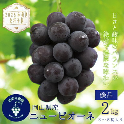 【ふるさと納税】岡山　花笑み農園の『ニューピオーネ』2kg(3～5房)優品　P-2優【2025年9月～順次発送】【配送不可地域：離島】【1593495】