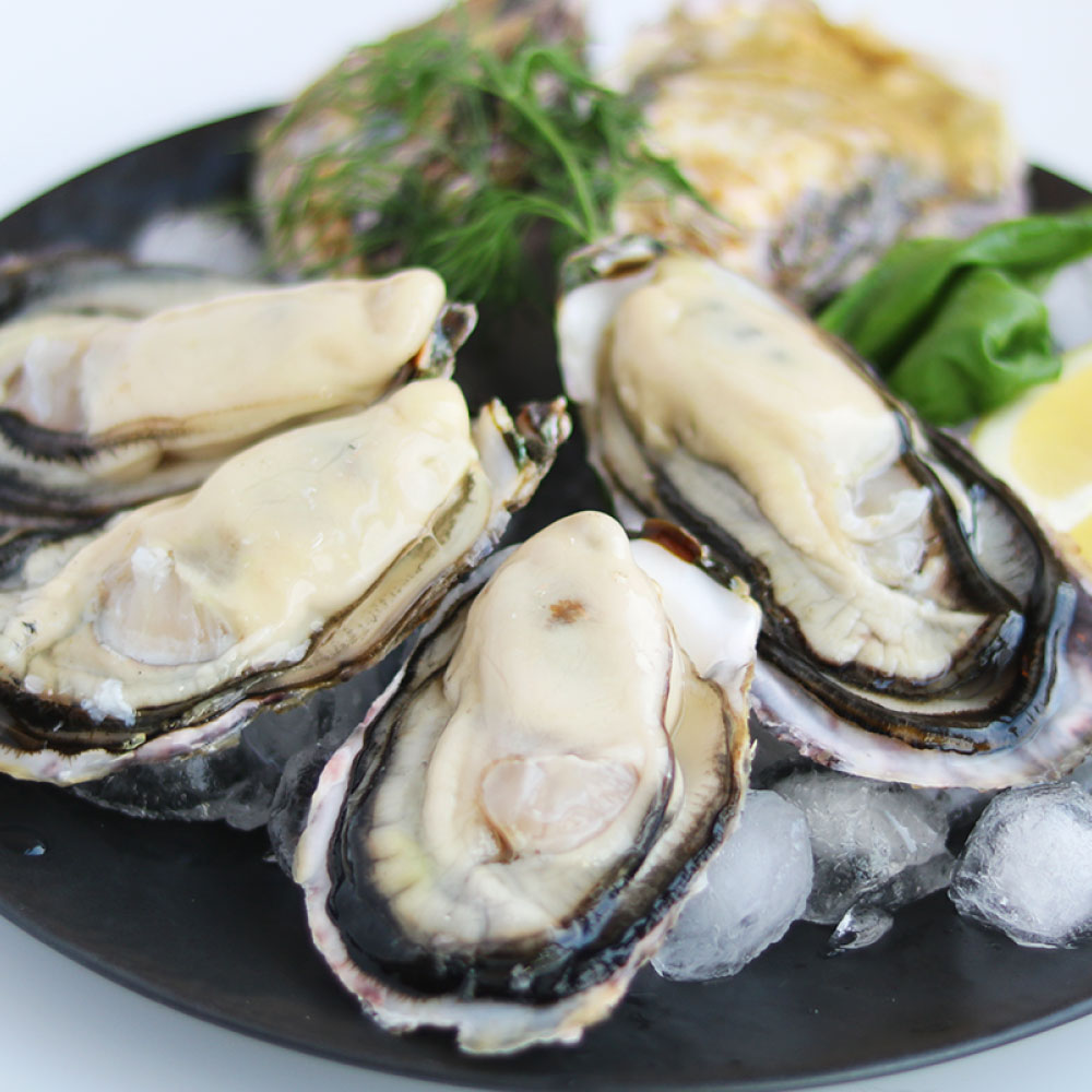 【ふるさと納税】＜選べる容量＞プレミアム オイスター 殻付き 牡蠣 （8～10個入・12～15個入） ／ かき カキ 生牡蠣 生かき 生カキ 生ガキ 生がき 魚介 貝 海産物 生食 ギフト 瀬戸内海 兵庫県 赤穂市 冷蔵 送料無料