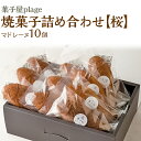 【ふるさと納税】菓子屋plage焼菓子詰め合わせ【桜】｜焼き菓子 スイーツ 洋菓子 セット マドレーヌ※着日指定不可