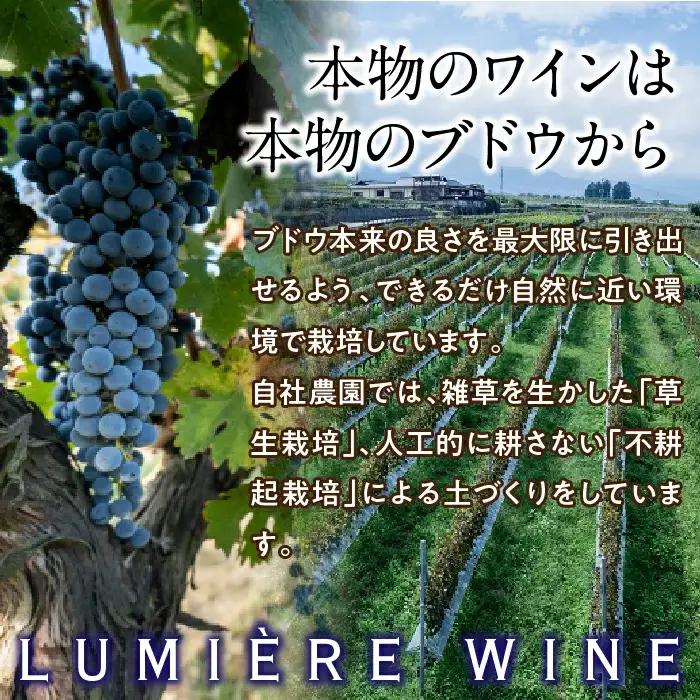 ルミエール ～ワイン定期便ハーフコース～ 063-006