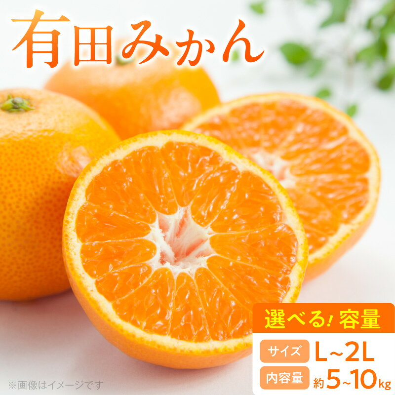 【ふるさと納税】【2026年先行予約】 有田みかん 選べる内容量 約 5kg 10kg L 2Lサイズ 混合 段々畑 太陽の恵み 和歌山県産 みかん 柑橘 フルーツ 果物 デザート お取り寄せ グルメ 和歌山県 湯浅町 送料無料