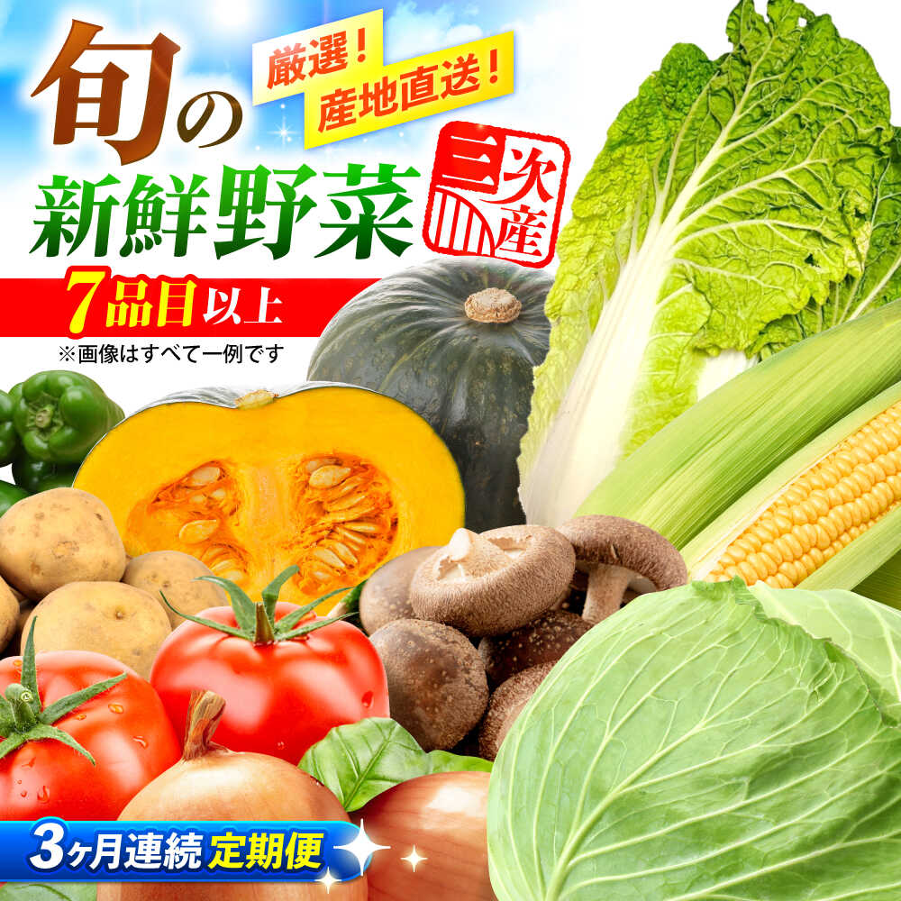【ふるさと納税】【全3回定期便】 野菜 厳選！農夫のお野菜セット 旬の野菜 7品目以上 詰め合わせ 野菜 セット 野菜セット 詰め合わせ 旬 新鮮 食材 特産品 産地直送 送料無料 人気 おすすめ 贈り物 プレゼント 広島 三次 ふるさと納税 三次市/布野特産センター[APBA015]