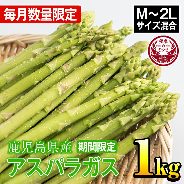 【ふるさと納税】≪数量限定≫さつま町産のアスパラガス(1kg・2L〜Mサイズ混合) 鹿児島 国産 九州産 産地直送 アスパラ 野菜 ベジタブル【松金農園】