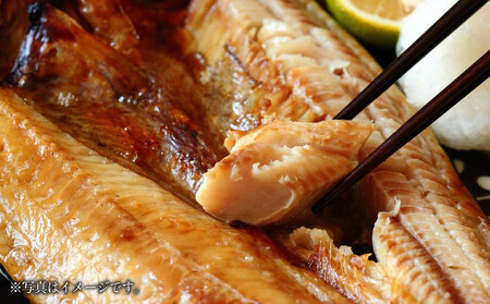 【5回定期便】絶品脂ののった 北海道産 開きほっけ 約1.5kg (約300g×5尾セット) ｜ ほっけ ほっけ ほっけ ほっけ ほっけ _05211