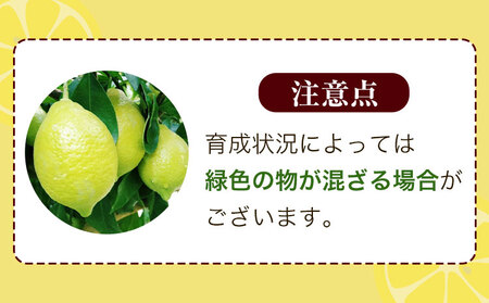 【手選別・産直】紀の川市産の安心国産レモン 約3kg 紀の川市厳選館《11月出荷》 和歌山県 紀の川市 フルーツ 果物 柑橘 レモン