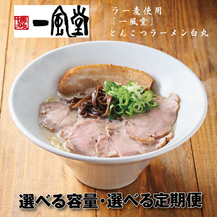 【ふるさと納税】一風堂白丸ラー麦麺セット とんこつ ストレート 有名 専門店 本場 豚骨スープ【豚骨ラーメン】（選べる容量）