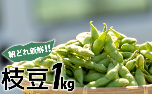 新鮮お届け！夏の味覚「枝豆」おてごろ1キロ ／ Fiz-B07