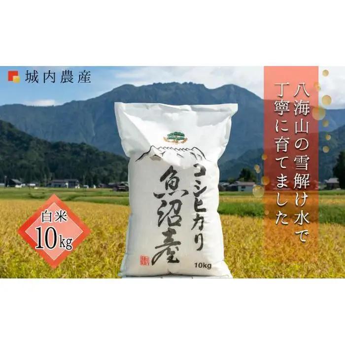 【令和８年新米予約】南魚沼産コシヒカリ 白米１０ｋｇ【５割減農薬栽培米】城内農産｜こしひかり【2026年9月下旬から1ヶ月以内に順次発送予定】