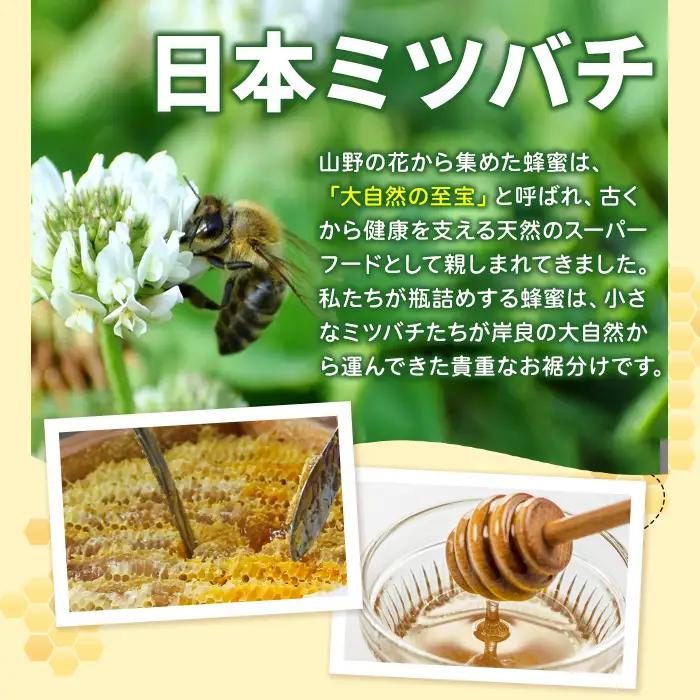 【A96001】日本ミツバチ 生百花 蜂蜜(約350g) 鹿児島 国産 九州産 蜂蜜 ハチミツ はちみつ 生はちみつ 日本ミツバチ ハニー 天然100％ 非加熱 無添加 蜜 日本ミツバチ 生はちみつ 