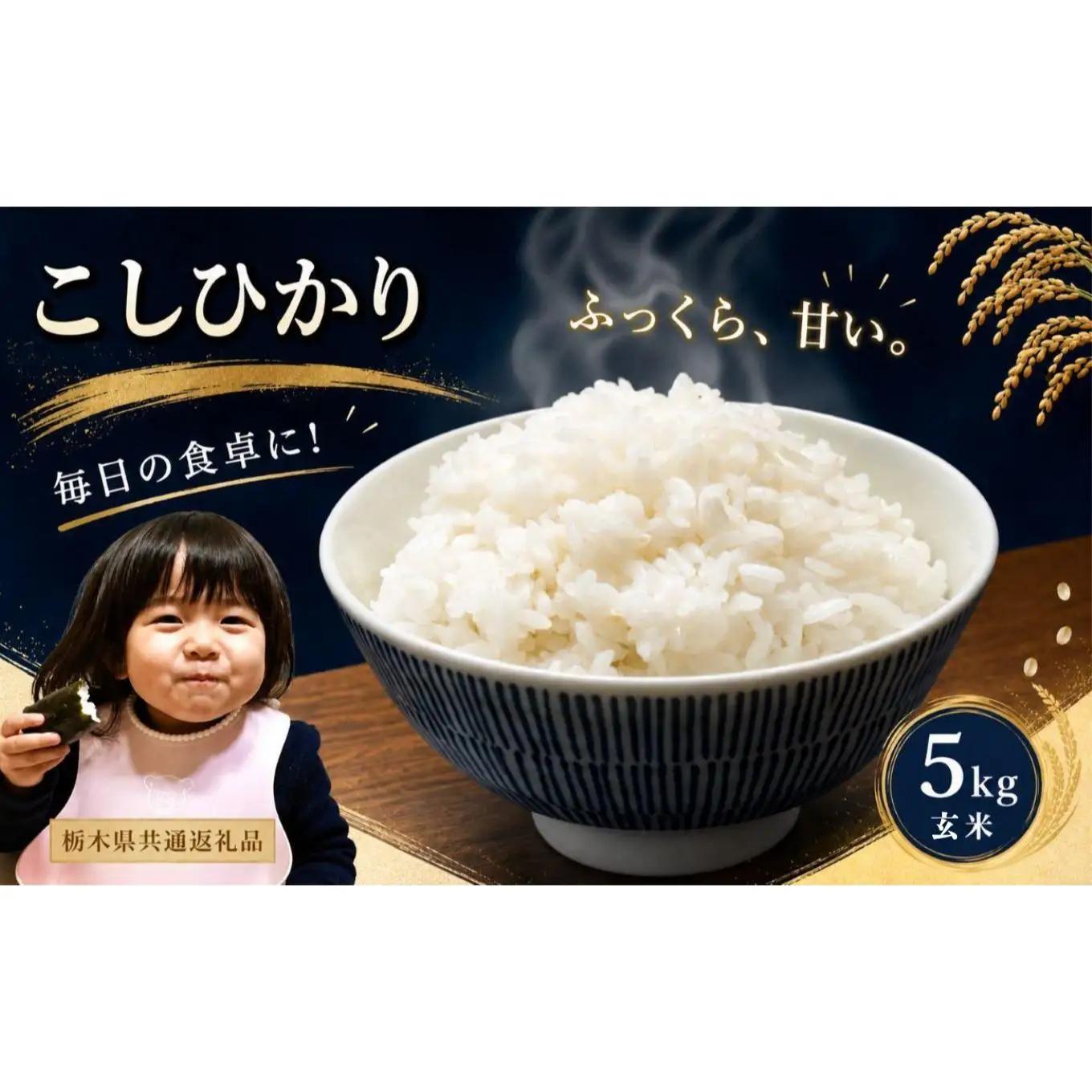 お米 令和8年産 こしひかり 玄米 5kg【2026年 先行予約】 | 栃木県共通返礼品