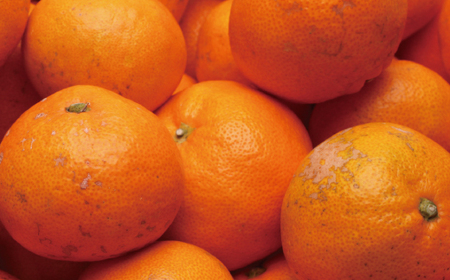 【先行予約】家庭用有田みかんサイズ混合(2S～2L)1kg+250g 11月より発送(完熟)/ みかん ミカン 有田みかん 柑橘 フルーツ 果物 和歌山 オレンジ【ikd210】